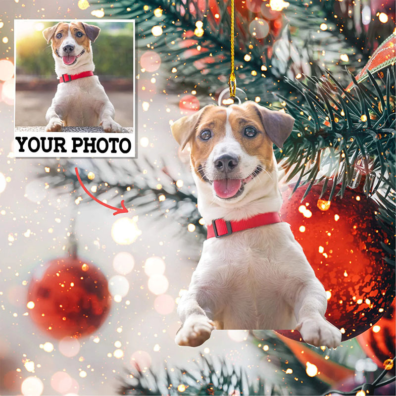 Personalized Acrylic Photo Ornament