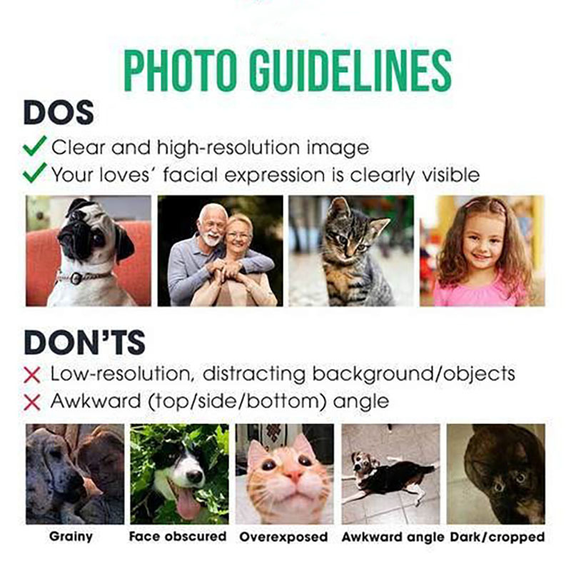 Custom Pet Photo Christmas Sweatshirt