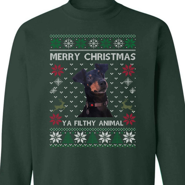 Custom Pet Photo Christmas Sweatshirt