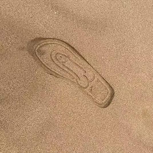 Thick Bottom Creative Beach Spoof Flip Flops