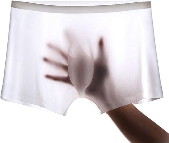 Men's Ice Silk Sheer Briefs