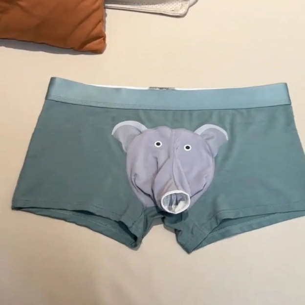 Elephant Boxer Briefs