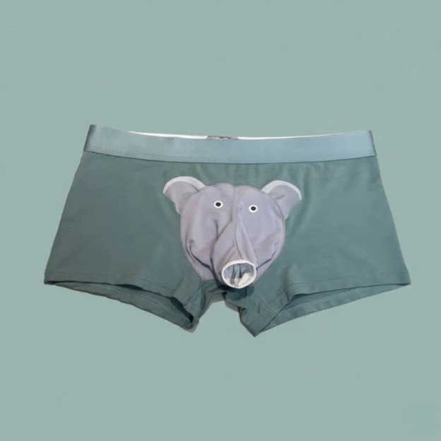 Elephant Boxer Briefs
