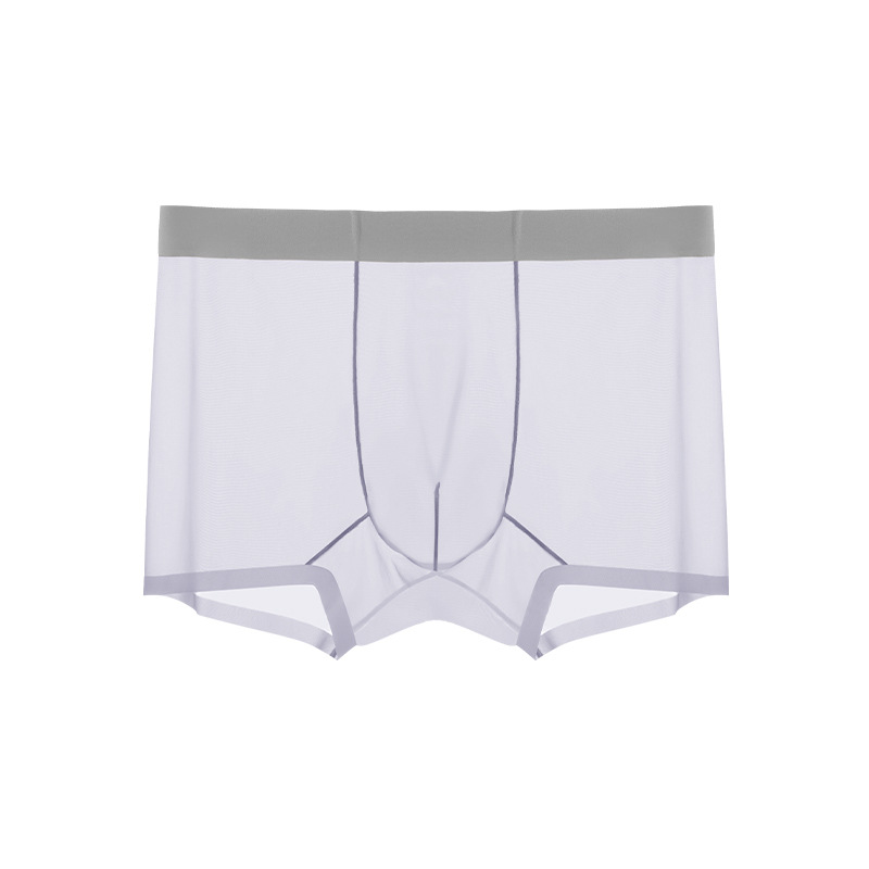 Men's Ice Silk Sheer Briefs