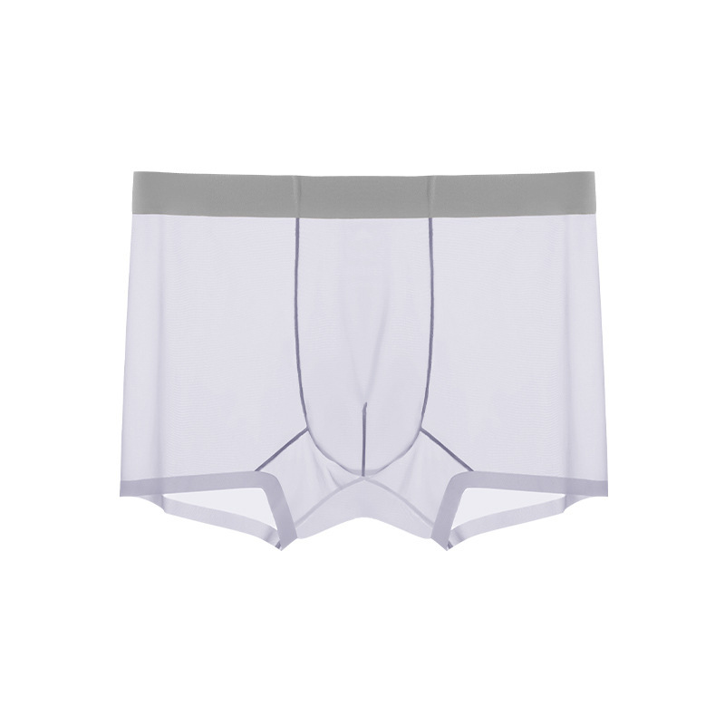Men's Ice Silk Sheer Briefs