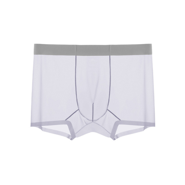 Men's Ice Silk Sheer Briefs