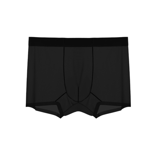 Men's Ice Silk Sheer Briefs