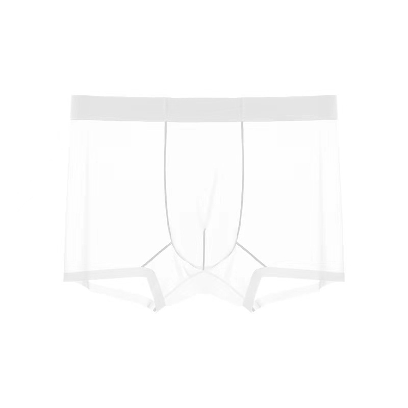 Men's Ice Silk Sheer Briefs