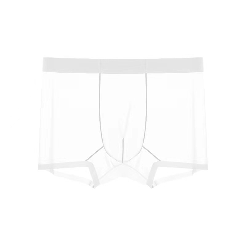 Men's Ice Silk Sheer Briefs