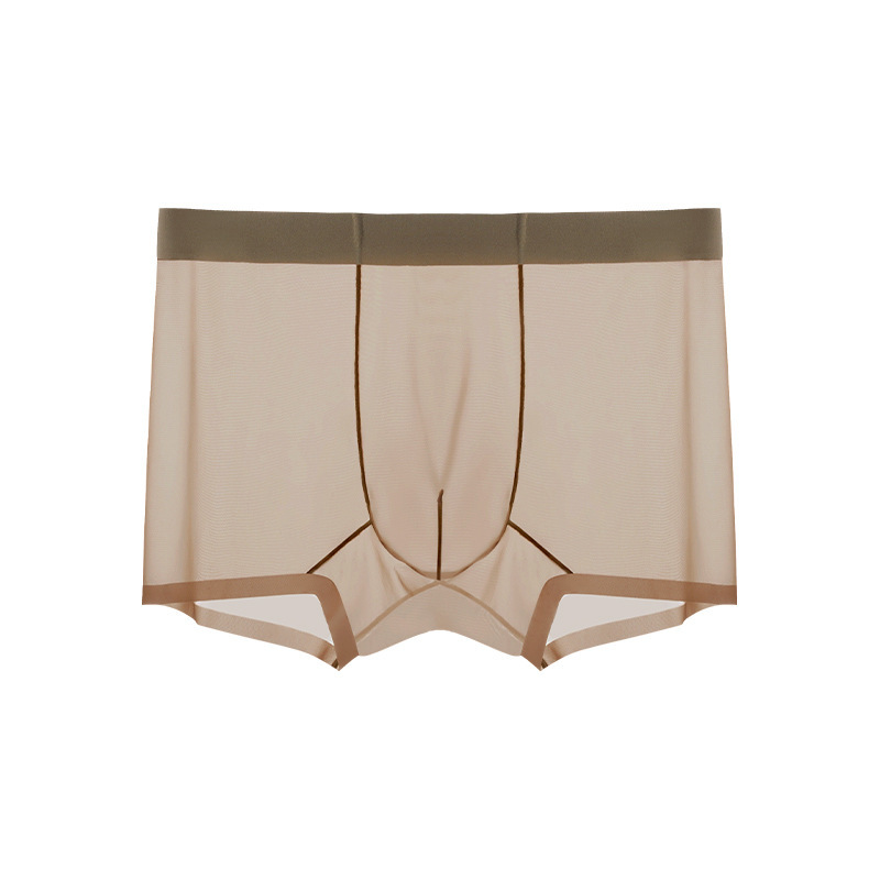 Men's Ice Silk Sheer Briefs