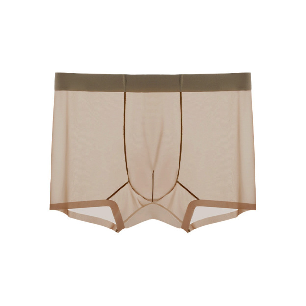 Men's Ice Silk Sheer Briefs