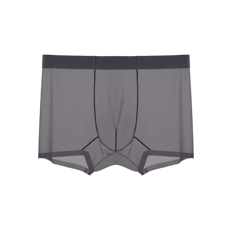 Men's Ice Silk Sheer Briefs