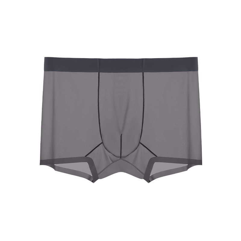 Men's Ice Silk Sheer Briefs