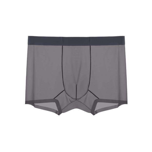 Men's Ice Silk Sheer Briefs