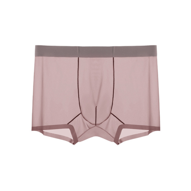 Men's Ice Silk Sheer Briefs