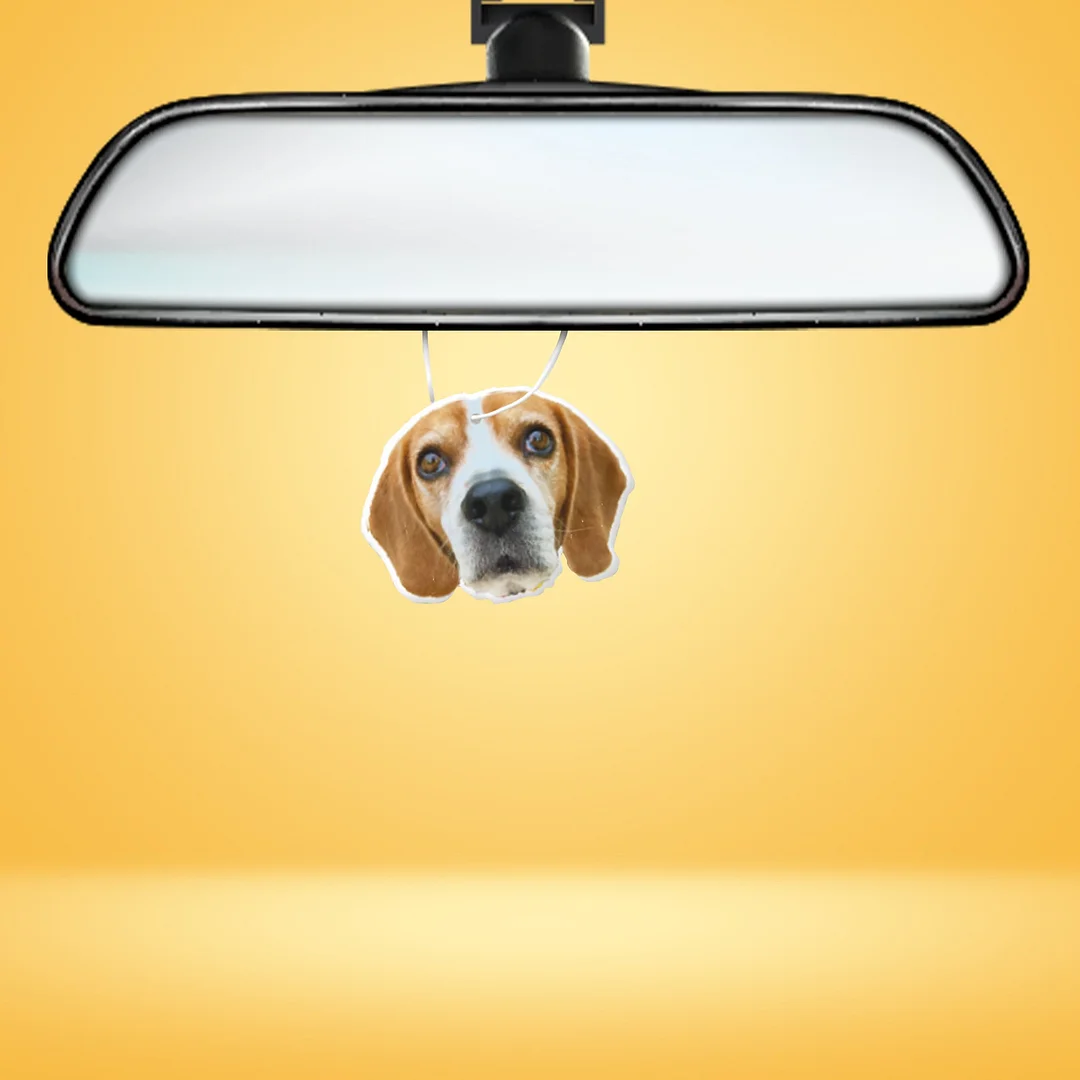 Custom Air Freshener