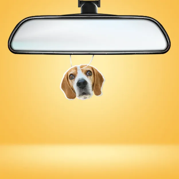 Custom Air Freshener