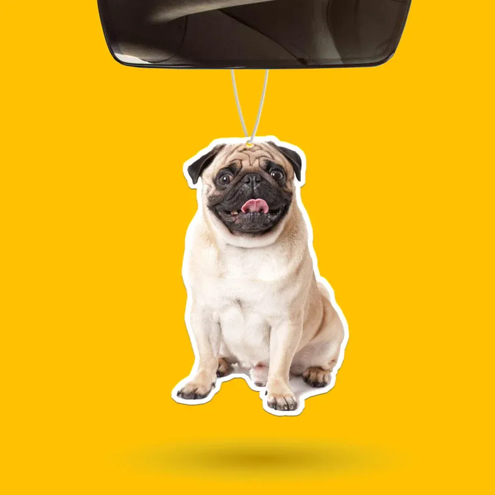 Custom Air Freshener