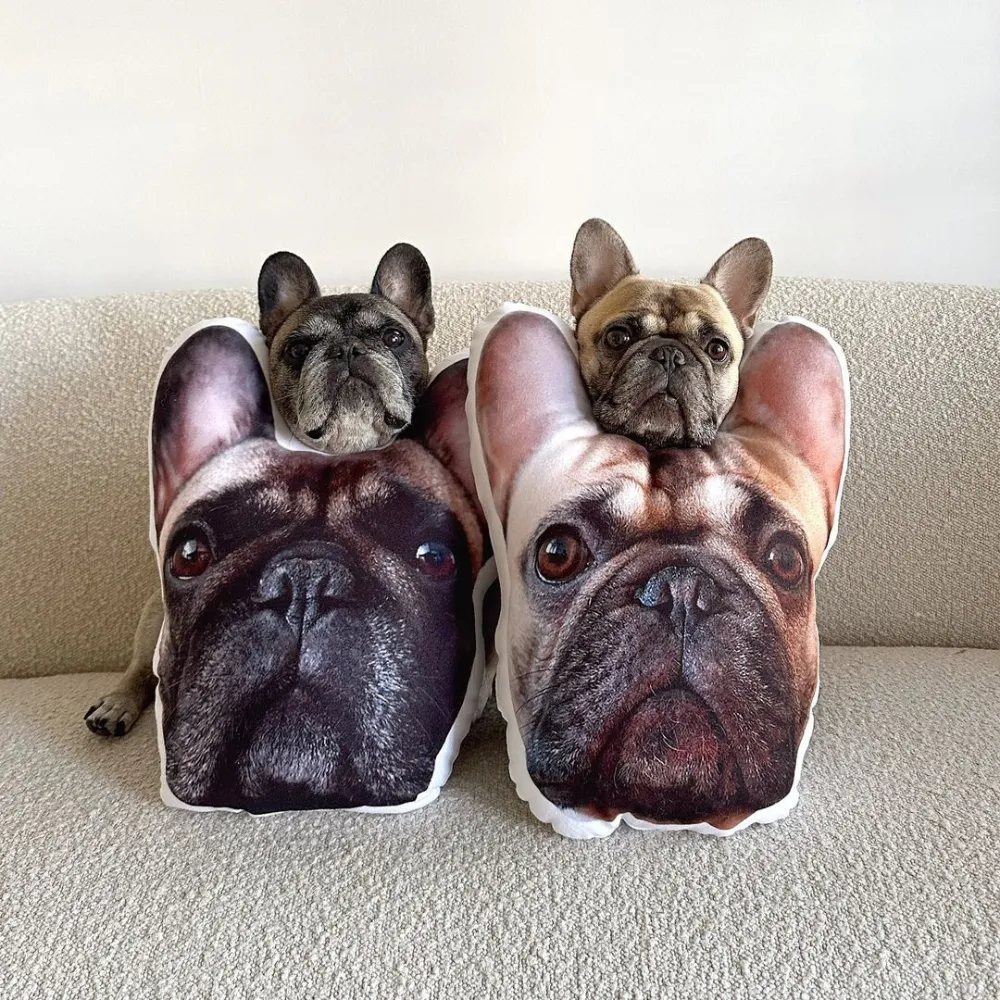 Create Your Own Custom Pet Pillow