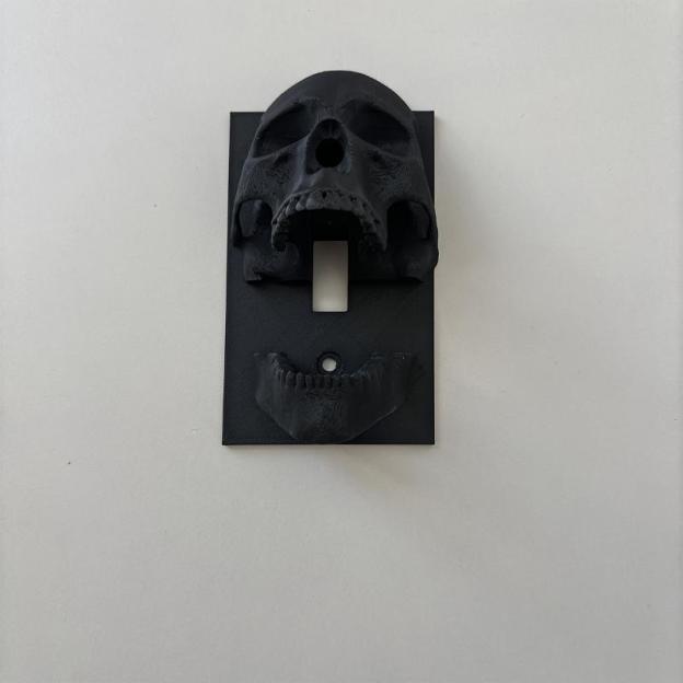 3D Printed Black Skull Switch Plate