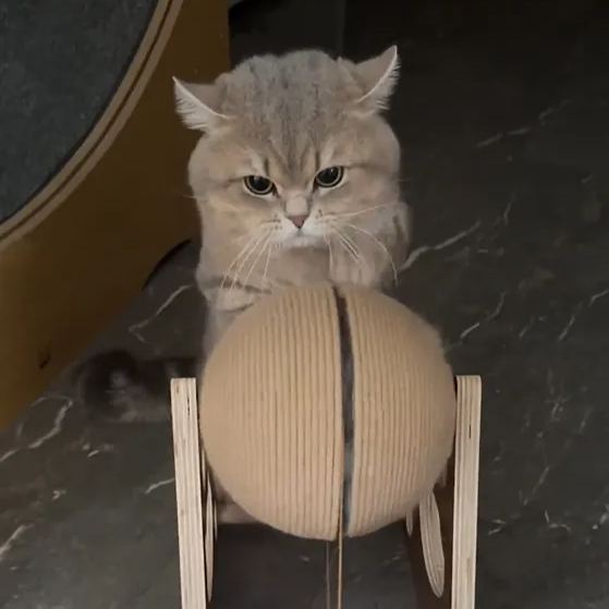 Cat scratching ball hand crank generator