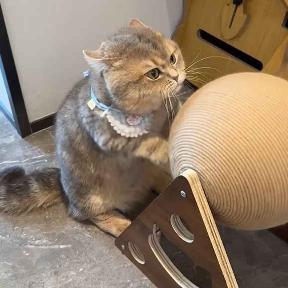 Cat scratching ball hand crank generator