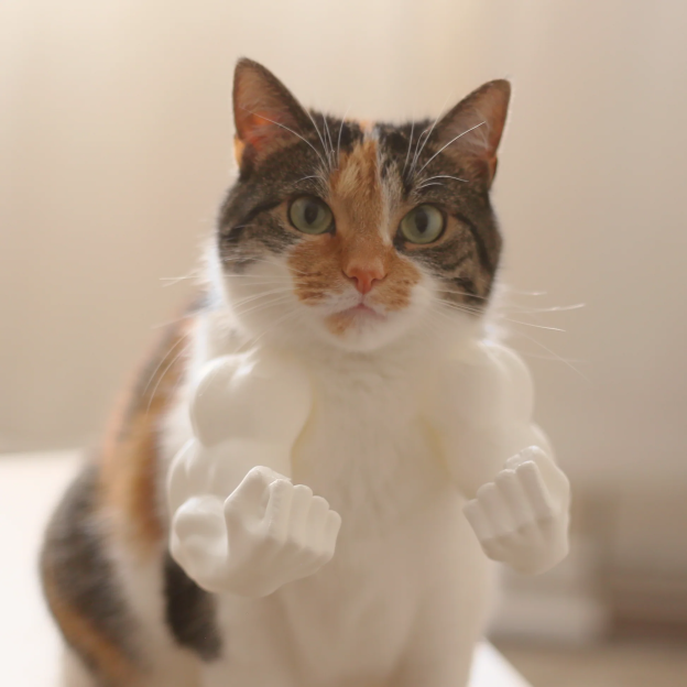 3D Printed Spoof Cat Hanging Neck Muscle Arm
