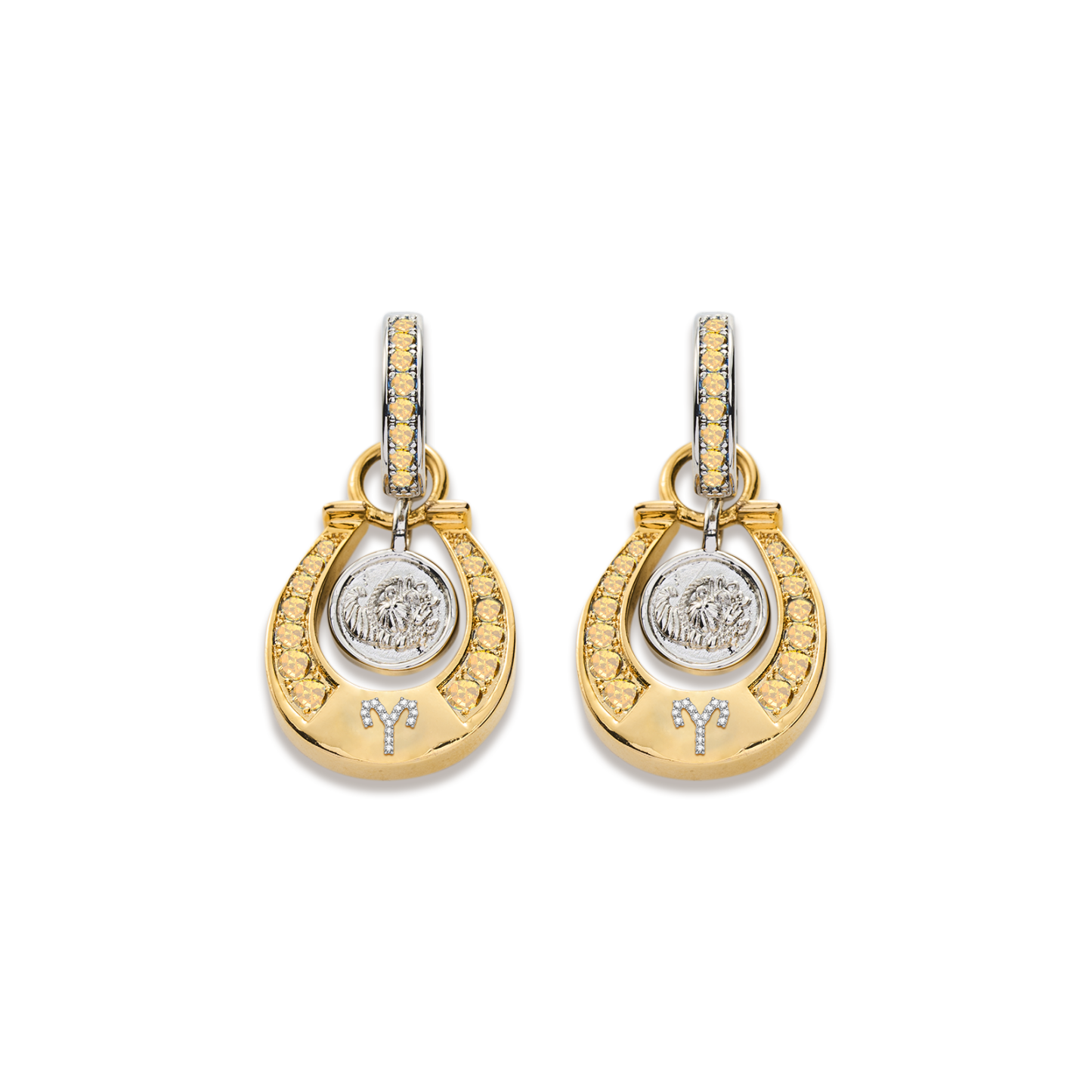Horseshoe Women's 12 Zodiac Signs Fortune Earrings-futurecuex