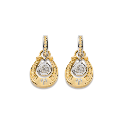 Horseshoe Women's 12 Zodiac Signs Fortune Earrings-futurecuex