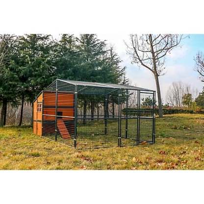 🔥🔥headroom and ventilation henhouse