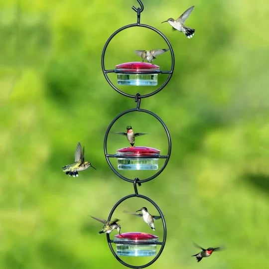 🎉 Last Day Promotion-70% OFF 🎉Hummble Slim Hummingbird Feeder