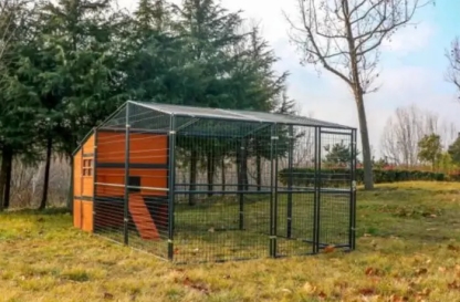 🔥🔥headroom and ventilation henhouse