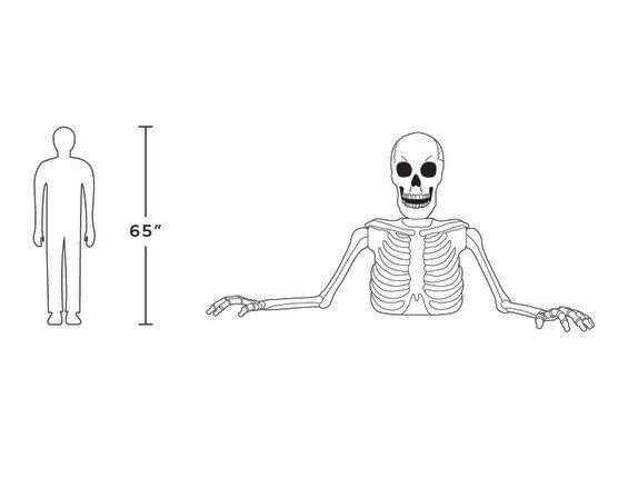 New! 5ft Halloween White Ground Breaking Skeleton