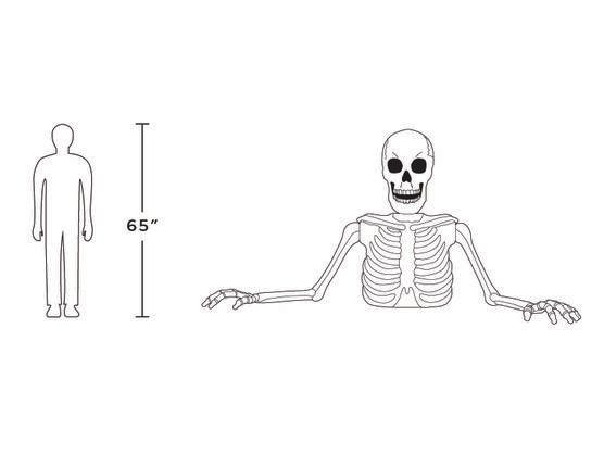 New! 5ft Halloween White Ground Breaking Skeleton