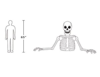 New! 5ft Halloween White Ground Breaking Skeleton