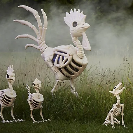 New! Red Shed 6 ft. Halloween Skeleton Rooster