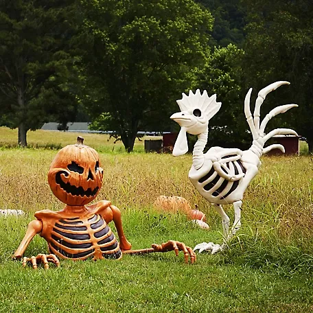 New! Red Shed 6 ft. Halloween Skeleton Rooster