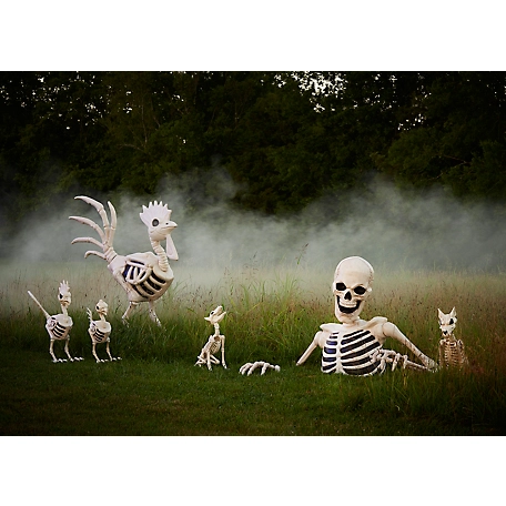 New! Red Shed 36 in. Halloween Rooster Skeleton