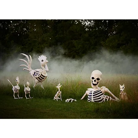 New! Red Shed 36 in. Halloween Rooster Skeleton