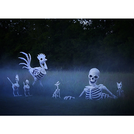 New! Red Shed 36 in. Halloween Rooster Skeleton