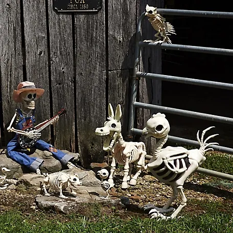 New! Red Shed 28 in. Halloween Hen Skeleton