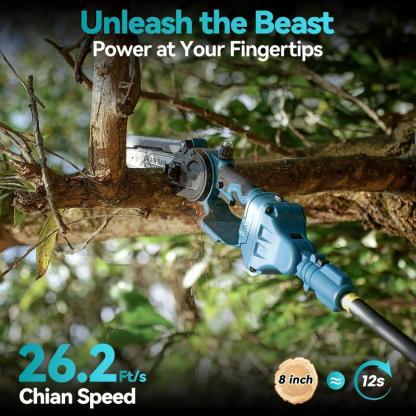 2 in 1 Cordless Pole Saw & Mini Chainsaw with 2 Batteries