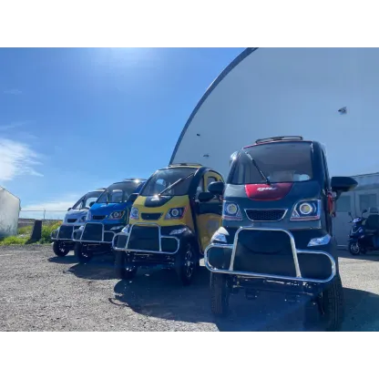 ✨All-Season Enclosed Mobility Scooter