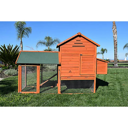 🔥🔥Raised Wood Chicken Coop