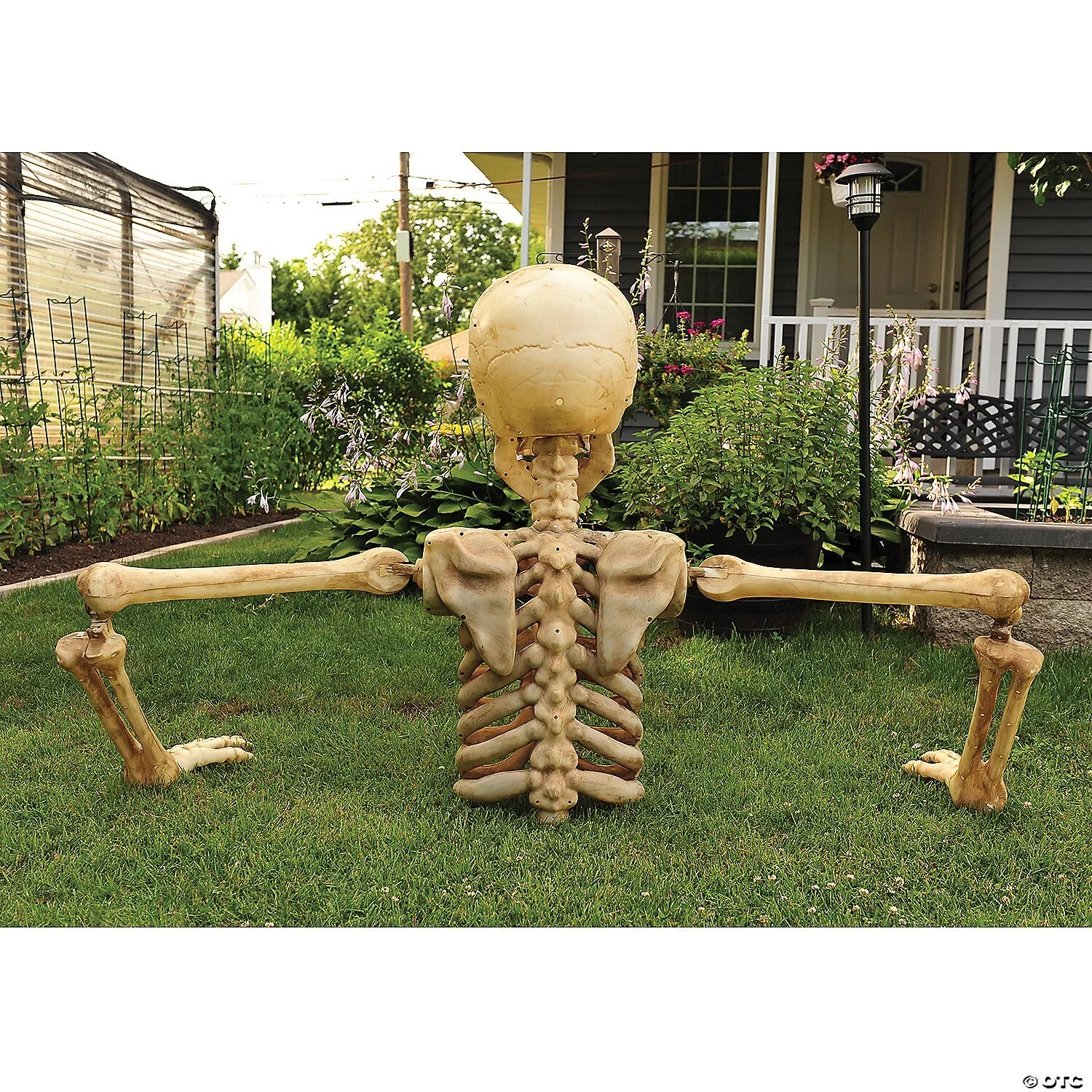 4 Ft. Posable Skeleton Halloween Decoration