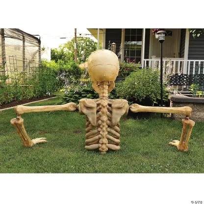 4 Ft. Posable Skeleton Halloween Decoration