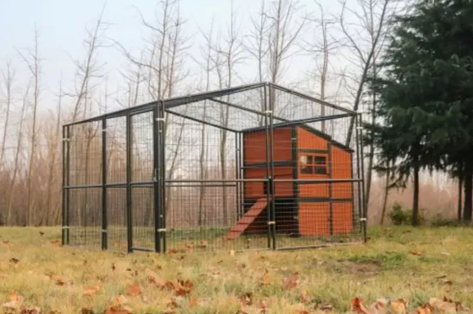 🔥🔥headroom and ventilation henhouse