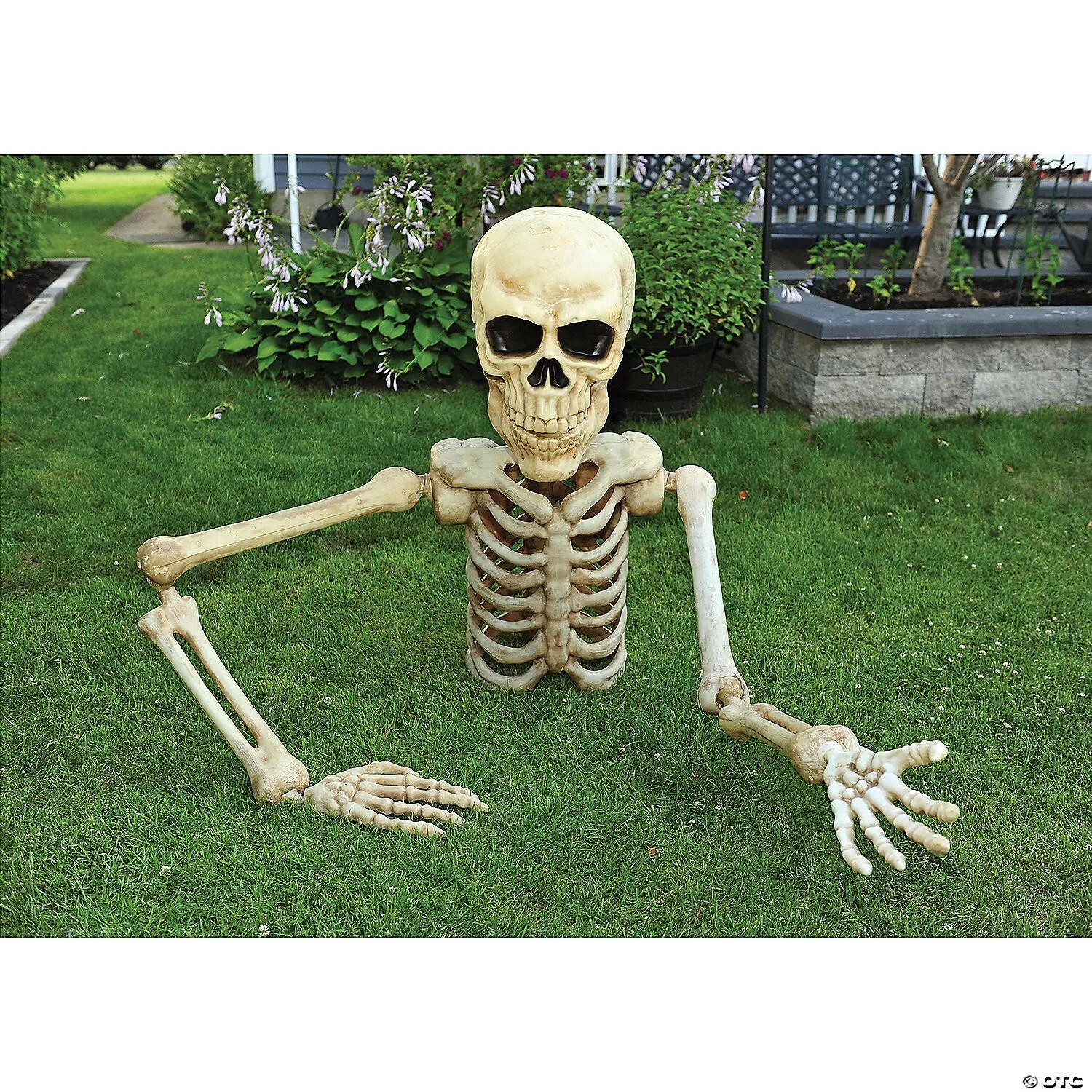 4 Ft. Posable Skeleton Halloween Decoration