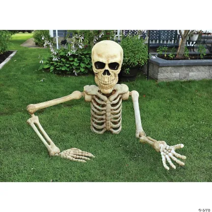 4 Ft. Posable Skeleton Halloween Decoration