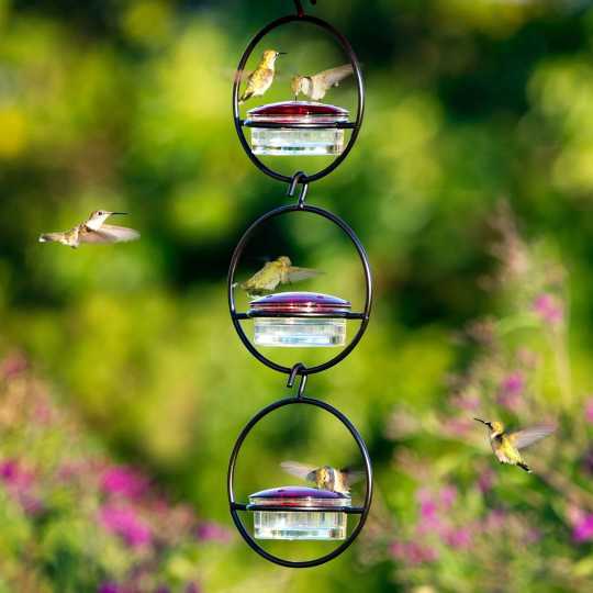 🎉 Last Day Promotion-70% OFF 🎉Hummble Slim Hummingbird Feeder